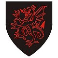 Small Coats of Arms - Dragon