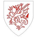 Small Coats of Arms - Dragon